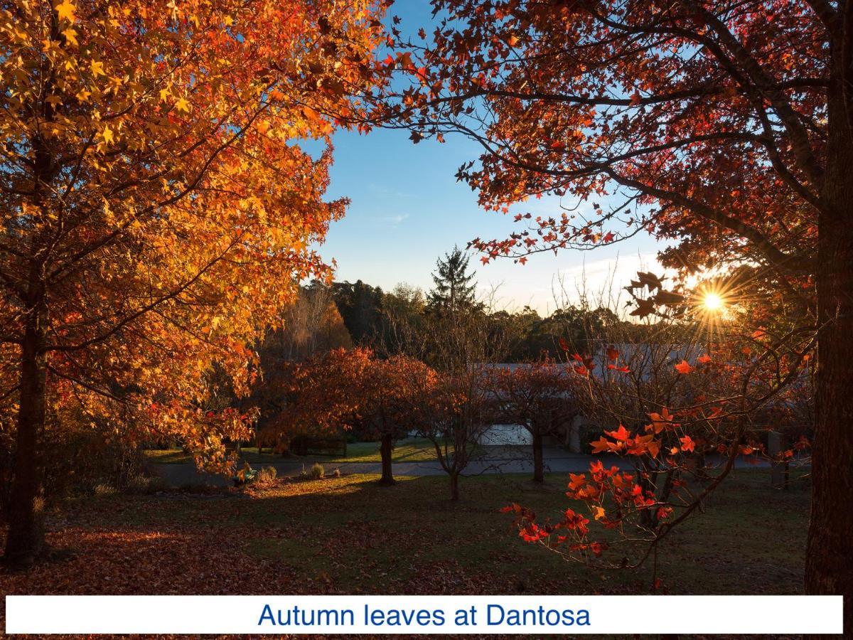 Dantosa Blue Mountains Retreat *