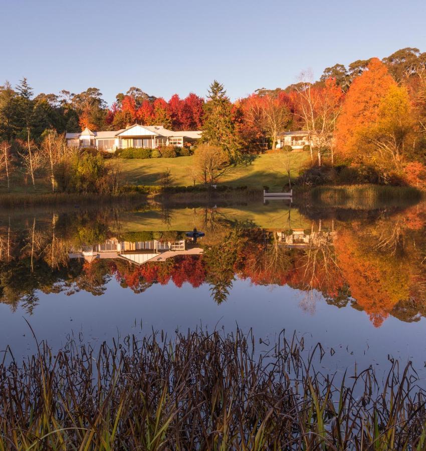 Dantosa Blue Mountains Retreat Katoomba
